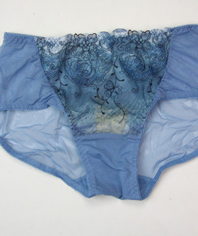 专柜正品戴芝蒂 B02909 B02908的配套内裤B02503 女 小平脚内裤