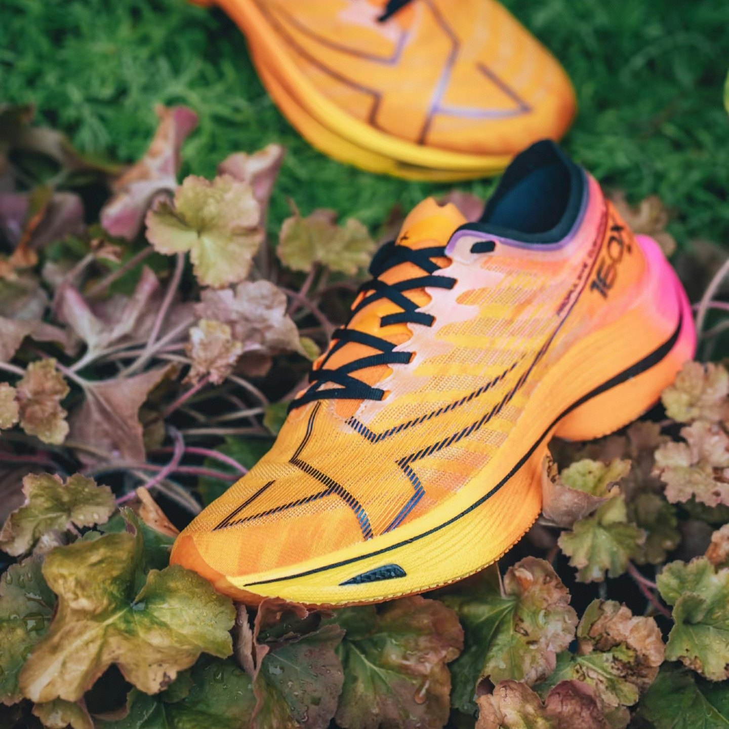 特步160X5.0男子马拉松跑鞋专业碳板鞋拼色跑步鞋推进缓震运动鞋