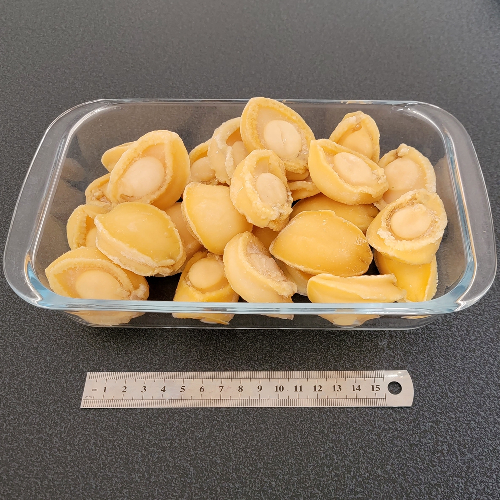 鲜冻鲍鱼肉500克去壳缩水少