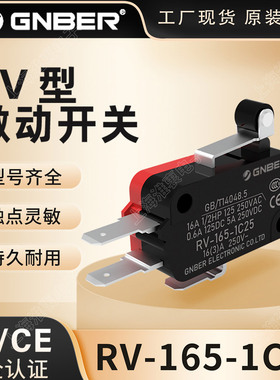 冈本GNBER微动开关RV-16-1C25 162 163 164 165 166 1B5RVAL2 16A