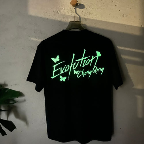 Evolution武汉成都应援衫夜光蝴蝶2026谢霆锋进化演唱会短袖t恤