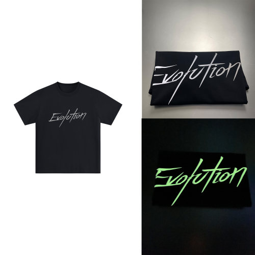 Evolution夜光上衣谢霆锋2025进化演唱会粉丝应援服短袖t恤半袖
