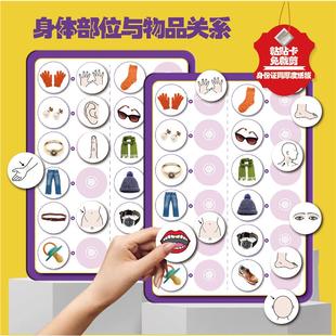 物品与身体部位的关系五官认知理解儿童益智贴纸自闭症孤独症训练