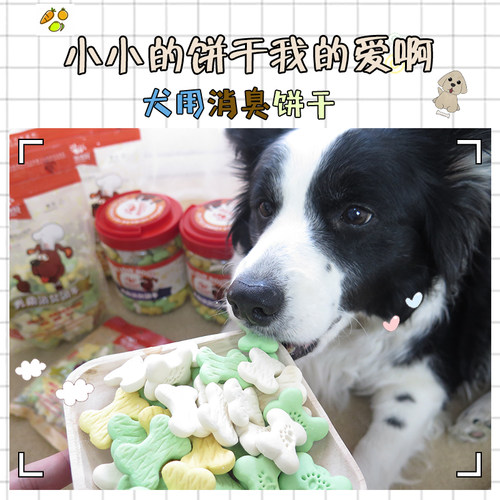 拍拖宝贝宠物饼干顽皮路斯狗零食
