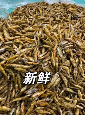 不苦不腥不沙邳州锅烤鱼