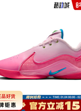 nike耐克男鞋LEBRON XXII SN EP运动鞋篮球鞋HV8456-600