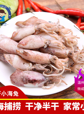 带籽冰鲜鱿鱼小海兔非即食