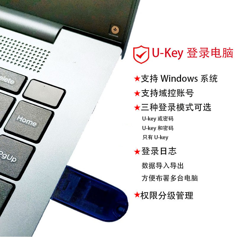 纳彩加密狗解锁登录Windows电脑开机锁磨砂U盘加密锁SDK二