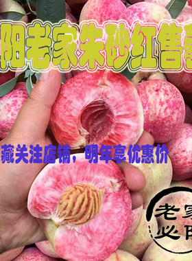 已售磬河南泌阳血桃 新鲜5斤朱砂红桃 非油桃冬桃 当季现发桃子