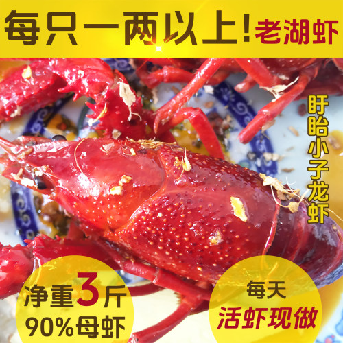 盱眙十三香麻辣特大小龙虾
