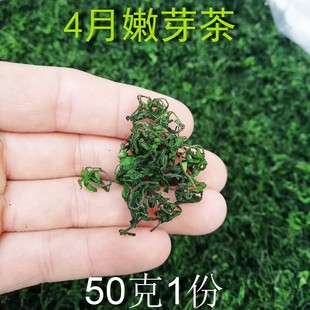 河南中岳仙茶 野生 酸枣芽茶 酸枣叶茶 山枣芽茶 枣芽茶 山西陕西