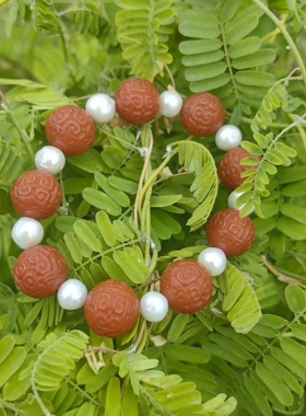 手作定制高级轻奢百搭串珠 天然淡水珍珠南红回纹大点位弹力手串