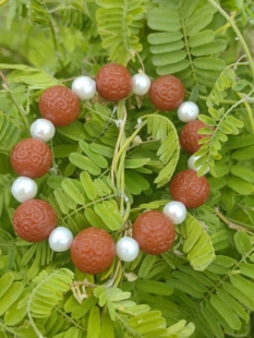 手作定制高级轻奢百搭串珠 天然淡水珍珠南红回纹大点位弹力手串