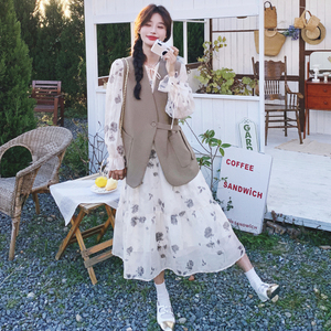 法式水墨画连衣裙套装女2024春秋新款设计感气质马甲两件套裙子图片