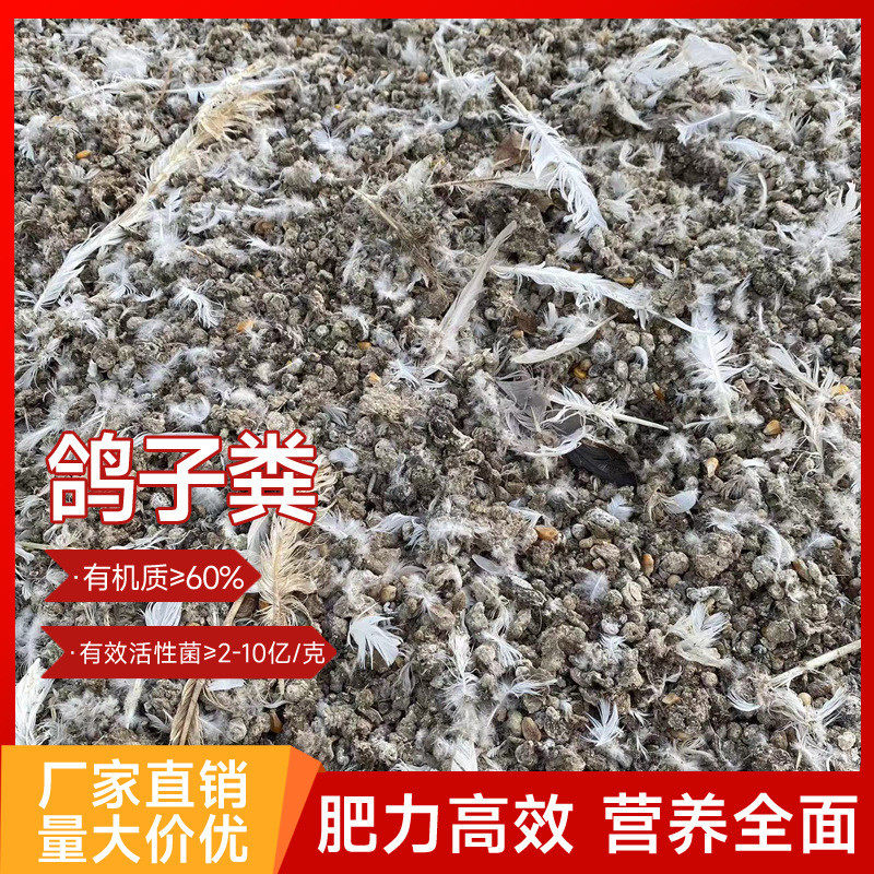 厂家直供土壤粪改良鸽子鸽子粪种植瓜果蔬菜自然风干鸽子粪有机肥