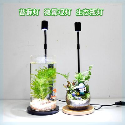 聚光高亮LED微景观灯态瓶灯造景鱼缸灯水族植物补光苔藓灯usb专用