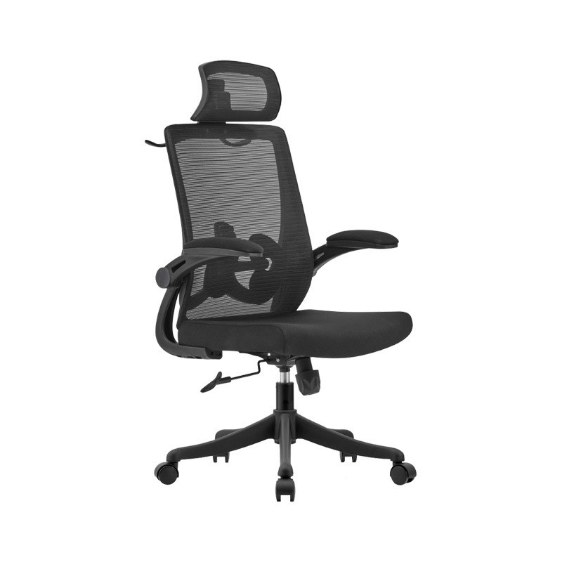 人体工学椅家用书桌电脑椅久坐不累可躺办公室座椅护腰学习椅子