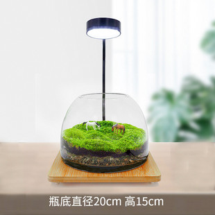 2u8k青苔苔藓植物生态瓶闷养瓶微景观微观景观微缩盆栽盆景造景成