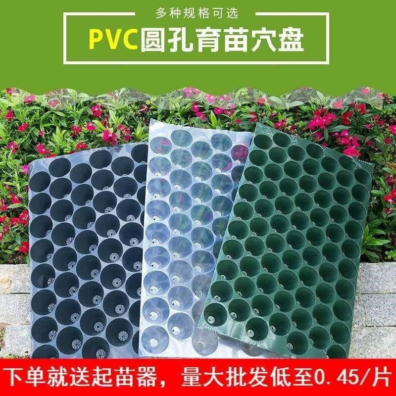 育苗穴盘培育玉米苗育苗钵营养钵蔬菜芽菜多孔穴塑料规格瓜果圆孔