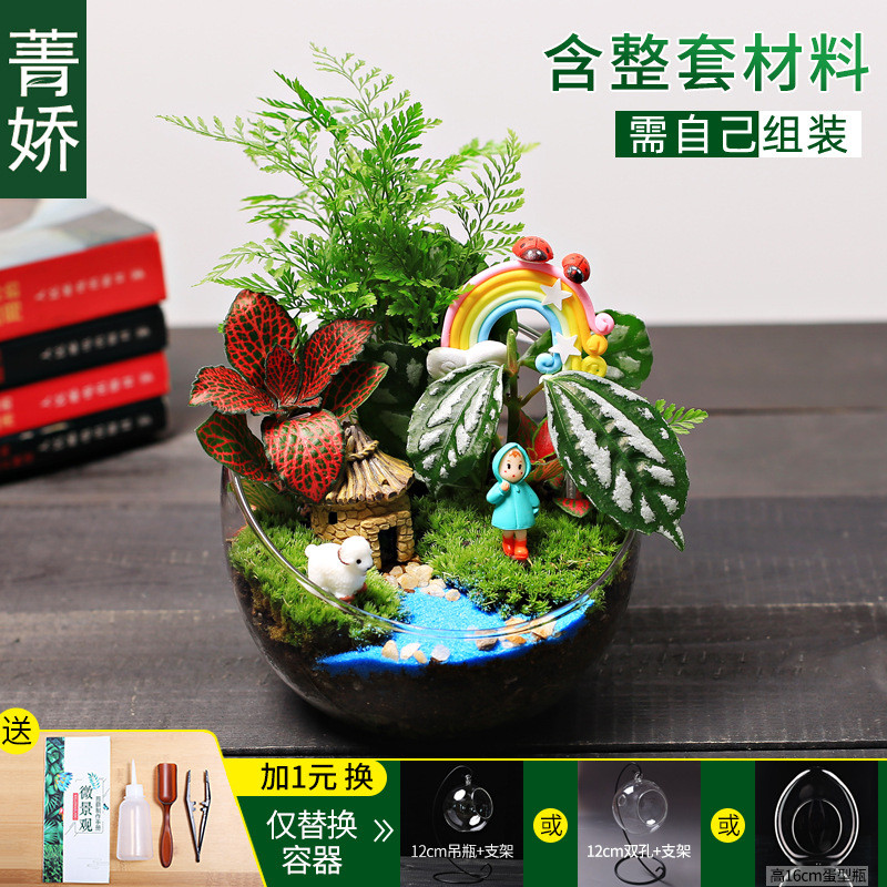 12cm切口瓶生态苔藓微景观diy材料包桌面迷你植物花卉绿小盆栽