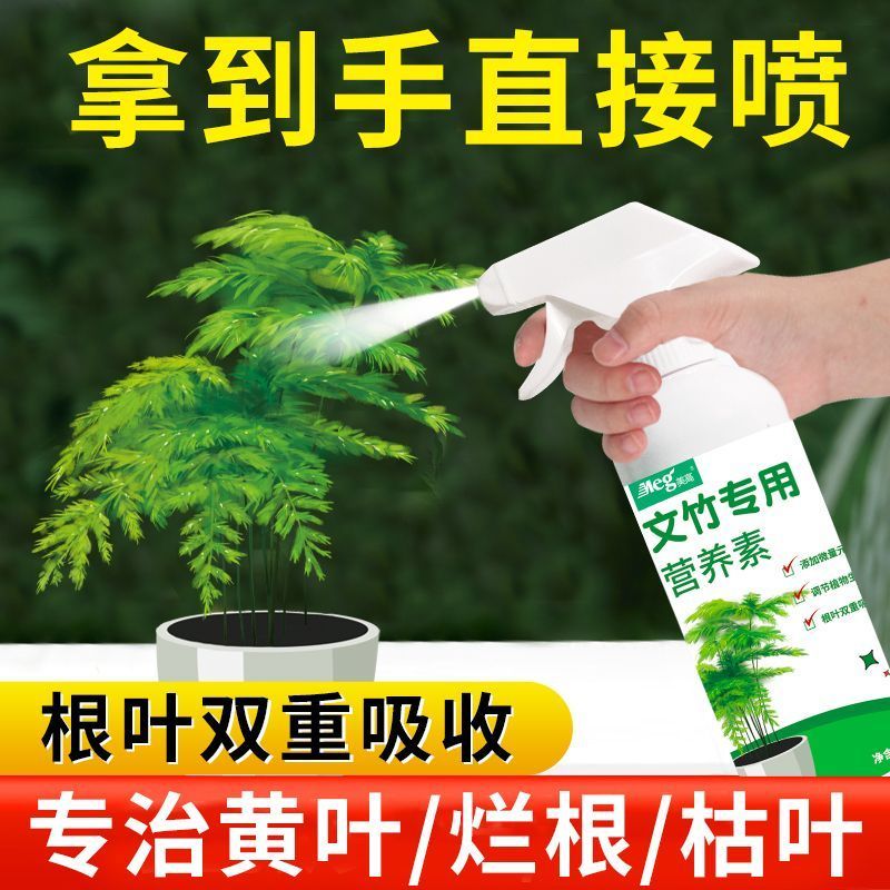 文竹专用营养液免稀释盆栽文竹治叶子发黄干尖枯瘦烂根落叶促生长