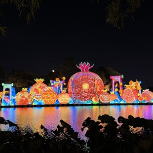 春节花灯户外大型铁艺灯展民俗自贡灯会装饰制作春节彩灯花灯