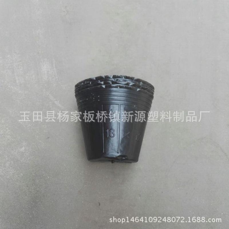 营养钵供应16x10厂家多肉营养杯育苗杯批发