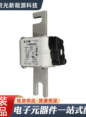 低压快速熔断器170m4264/170m4265/170m4266/170m4267