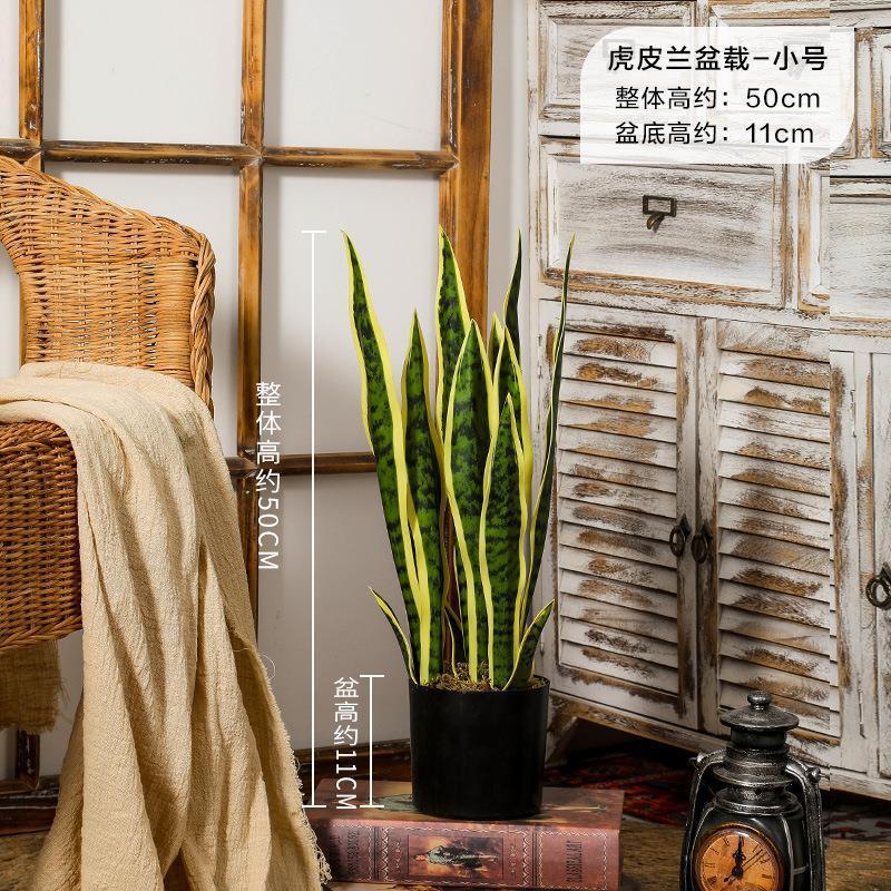 落地网红虎皮兰盆栽懒人绿植摆件办公室植物假树室内客厅批发