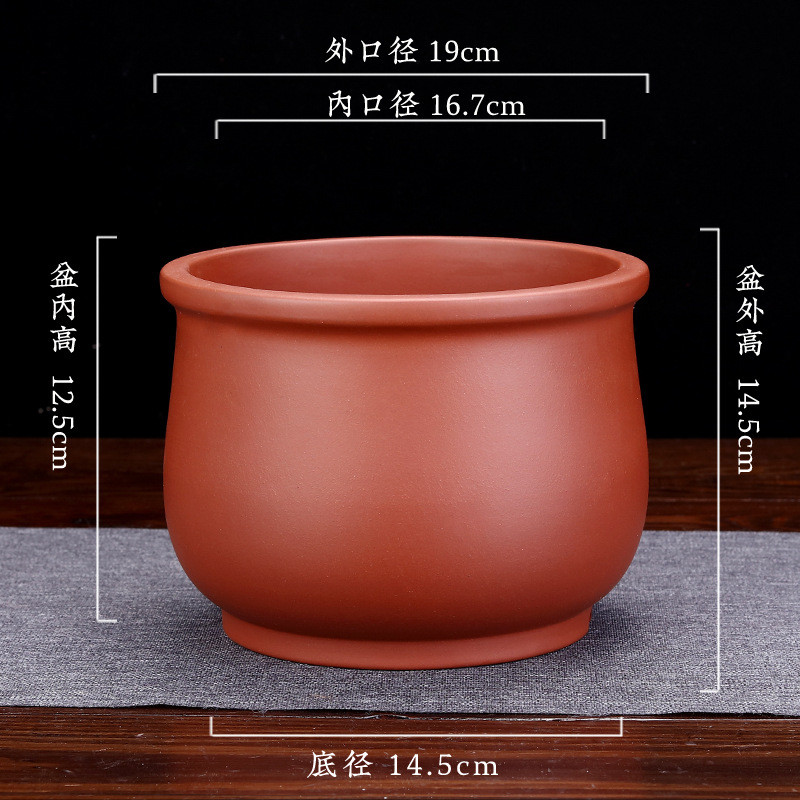 紫砂兰花盆桌面老庄盆景圆形多肉菖蒲君子兰蝴蝶兰惠春兰厂家批发