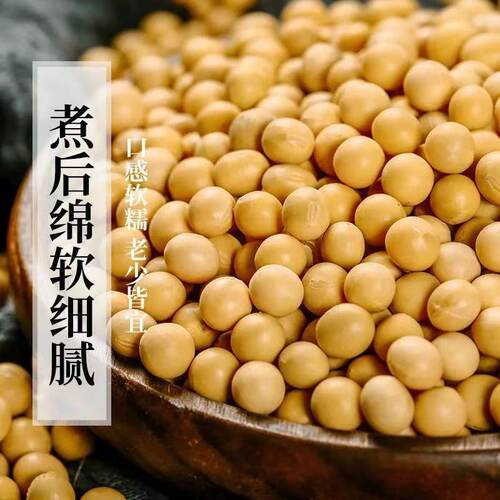 东北黑龙江黄豆农家自产大黄豆五谷杂粮豆类豆浆生豆芽黄豆