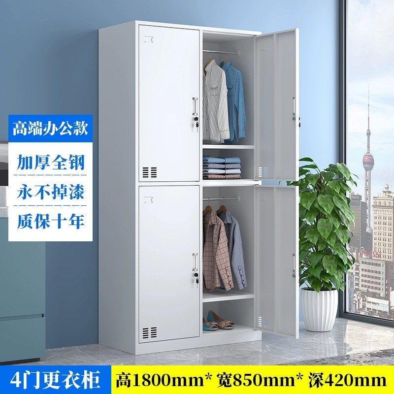 钢制二门员工家用带锁储存物柜寄存工厂更衣柜换衣柜铁皮卧室衣柜