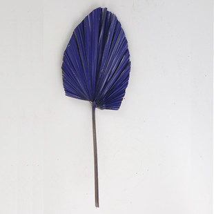 仿真场景叶干花婚礼蒲扇造型布置蒲葵叶森系北欧风棕榈叶批发