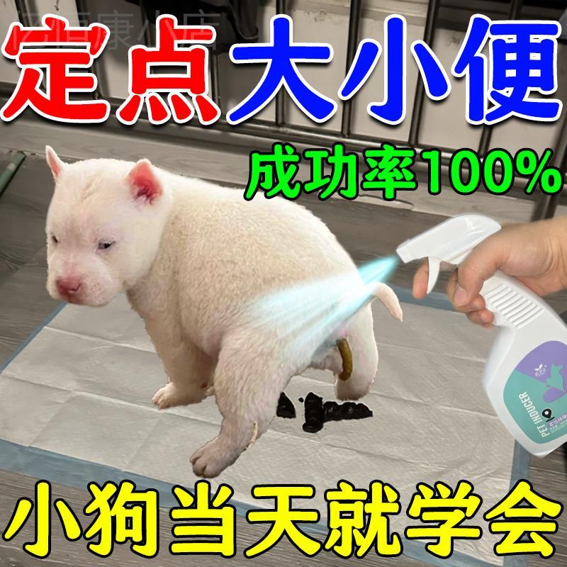 当晚学会】狗狗定点上厕所神器训练宠物狗大小排便不乱拉屎诱导剂