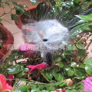 自动浇花器 119 12浇花浇水滴灌灌溉系统地插涌泉小红帽套装