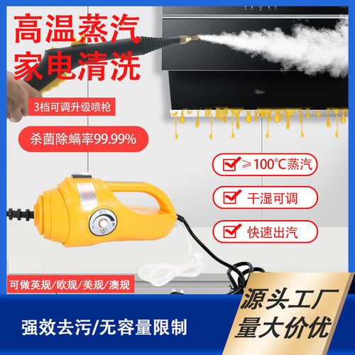 高温蒸汽清洗机小型蒸汽机多功能蒸汽清洗抽油烟机家电清洗一体机