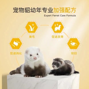 【包邮】900g安哥鲁幼貂粮成年安格鲁玛雪貂宠物貂雪儿饲料碧甜