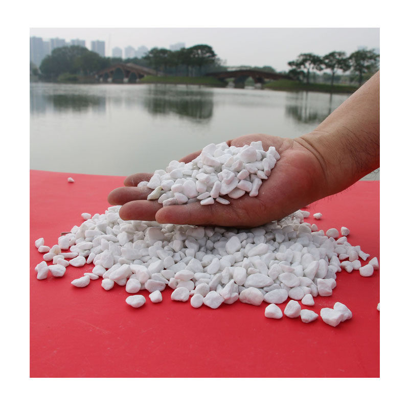 白色鹅卵石雪花白雨花石鱼池鱼缸装修白色石子小庭院景园林白石