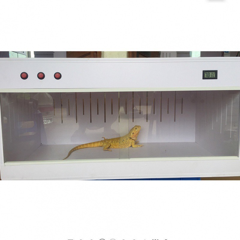 6sypvc爬箱箱鬃狮育雏爬虫饲养箱宠物异宠加热保温箱爬宠箱现做