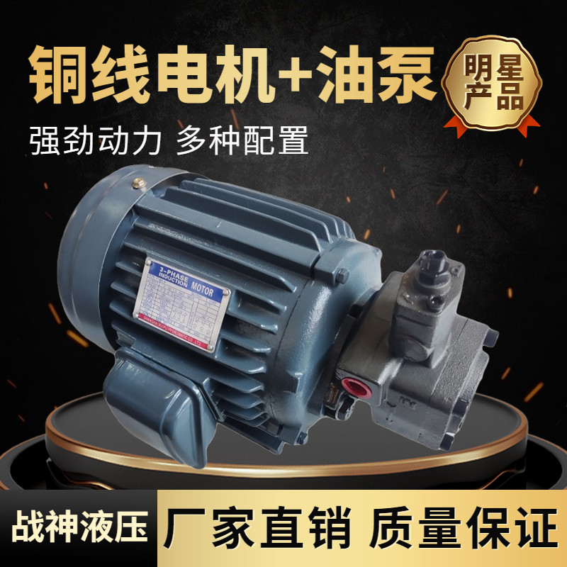 液压电机油泵组 0.75KW+VP20 1.5KW+vp20  1.5KW+CBN 2.2kw+vp20