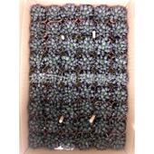 趣味园艺绿植种植属观赏性绿色植物十二卷栽培白瓷玉扇万象玉露