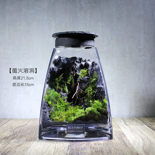 eq4f圈养/萤火系列苔藓微景观生日生态瓶送朋友礼品办公室