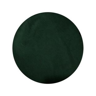 粉健生物螺旋藻天生产养殖销售好品质钝顶螺旋藻量大从优