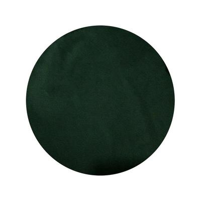 天健生物螺旋藻粉品质养殖销售好生产钝顶螺旋藻量大从优