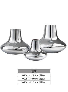 北欧简约餐桌银色玻璃花瓶摆件花器间客厅轻奢板房水培插花