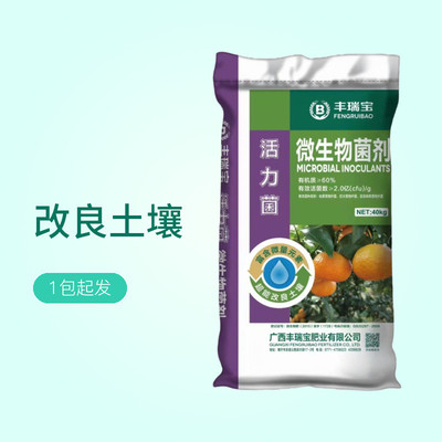 菌剂微生物有机肥广西肥料厂家有效活菌2亿60%粉状