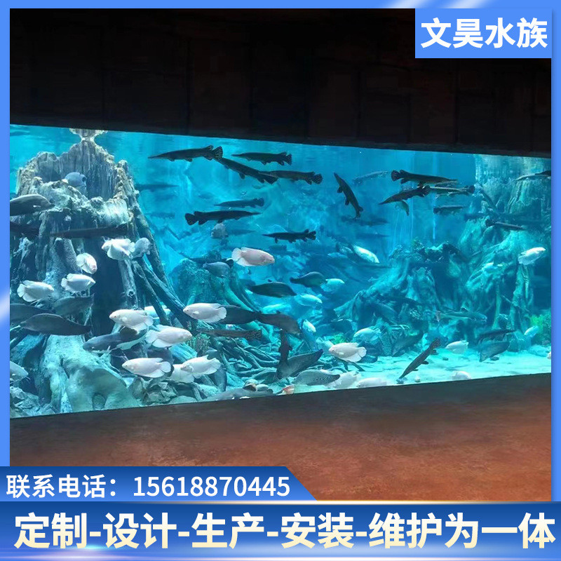 大型展览鱼缸设计施工别墅酒店超白玻璃亚克力展示大型水母鱼缸