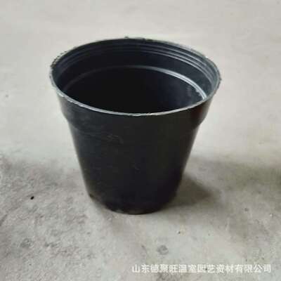 红边花盆塑料花盆圆黑盆圆直盆多规格基地育苗种植盆网底