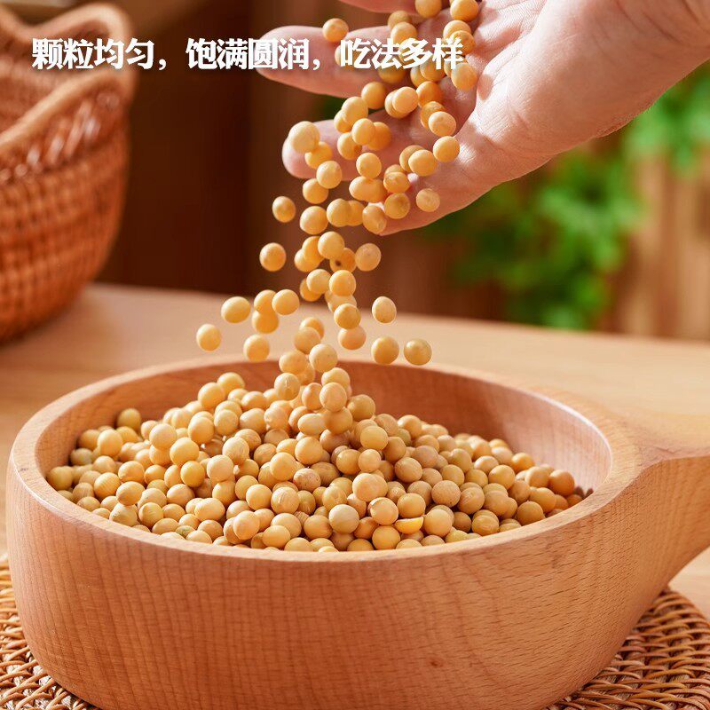 新货黄豆新货 农家自产土黄豆东北大豆发豆芽打豆浆豆类五谷杂粮