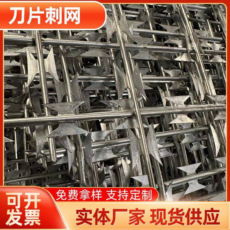 刀片刺绳不锈钢围墙笼防锈防护网刺网带刺铁丝防盗防爬刺滚防爬网